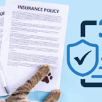 Best Pet Insurance for Dogs in Florida 2025: Top Providers, Costs, and Coverage Guide