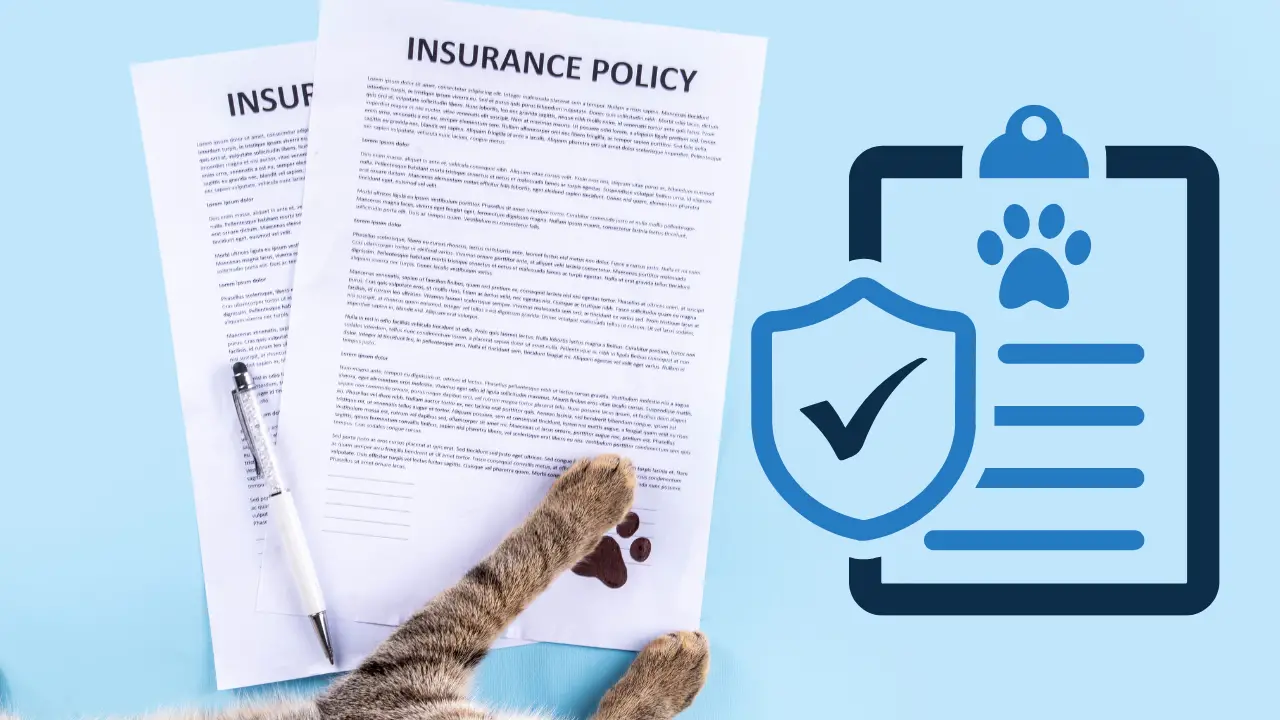 Best Pet Insurance for Dogs in Florida 2025: Top Providers, Costs, and Coverage Guide