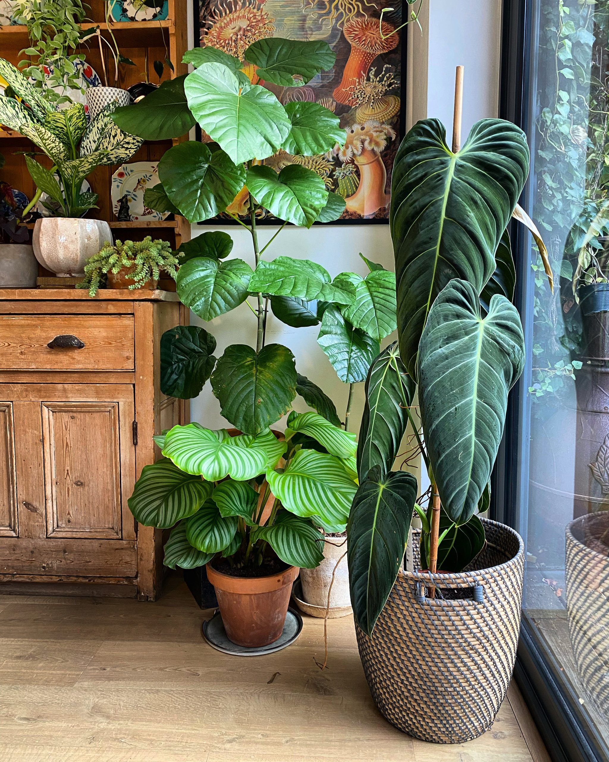 potted plants for indoors transform your space today scaled