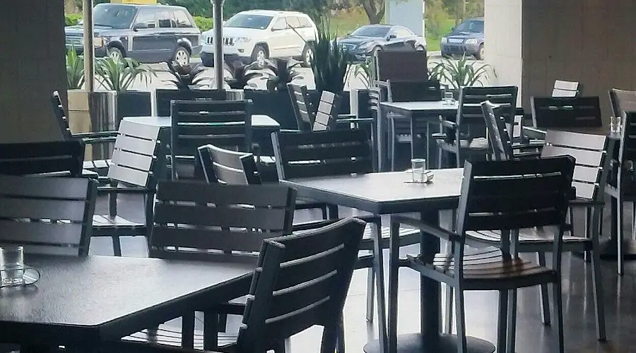vegan friendly restaurants in palm beach gardens a gourmet guide