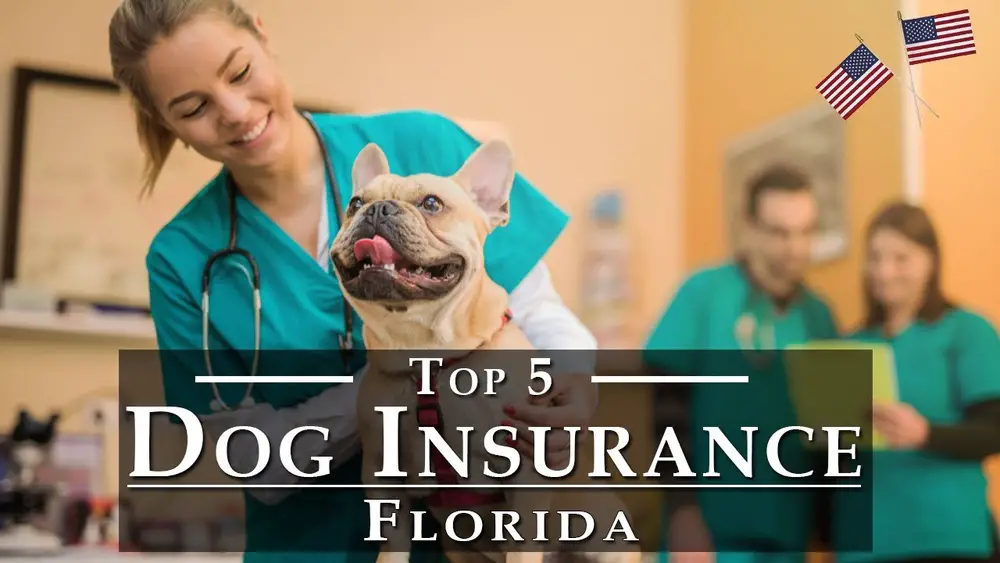 what is the best pet insurance in florida