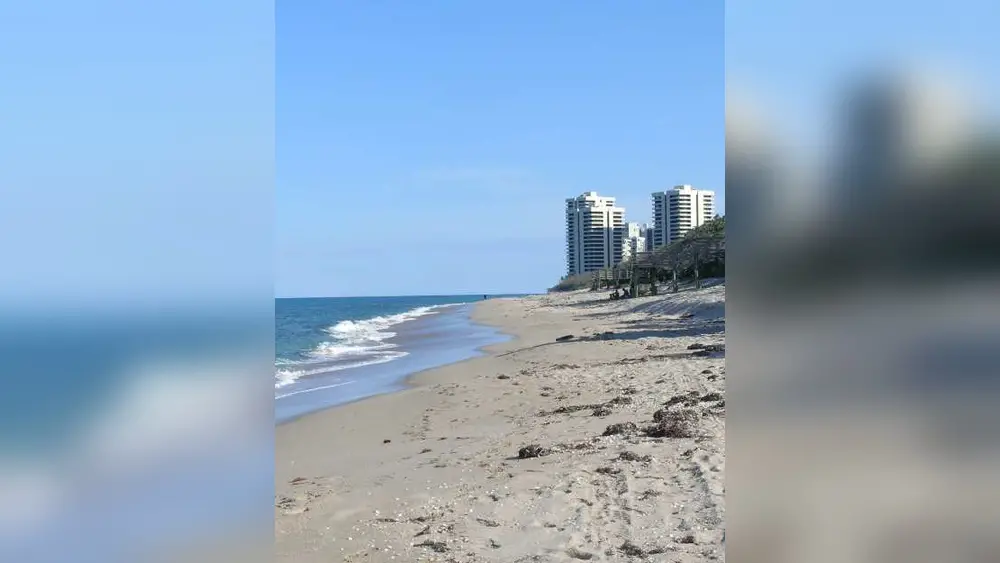 where to take visitors in palm beach gardens for fun