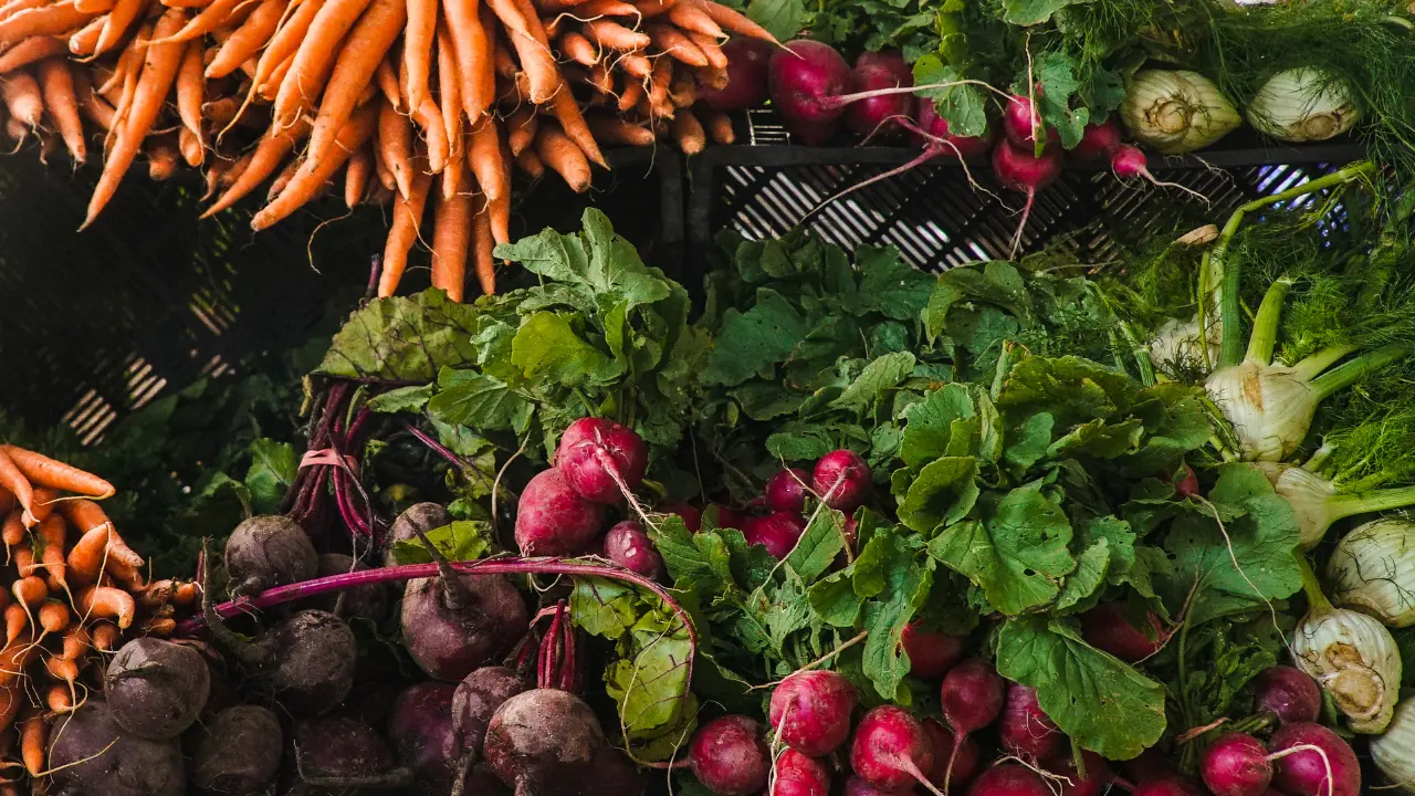 Top 10 Best Vegetables to Grow in South Florida