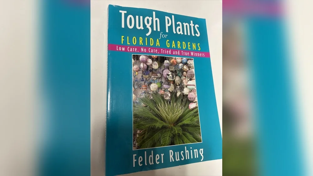 12 Best Plants Florida Book: Ultimate Guide for Garden Success 1 12 best plants florida book