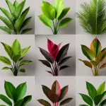 The Ultimate Guide to the Best Low-Maintenance Plants for Florida Gardens in 2025