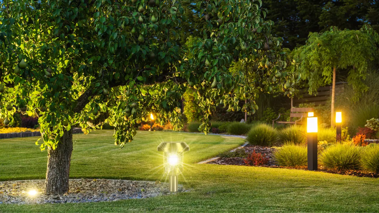 Best Outdoor Solar Garden Lights for 2025: Eco-Friendly Ways to Glow Up Your Yard 1 Best Outdoor Solar Garden Lights for 2025