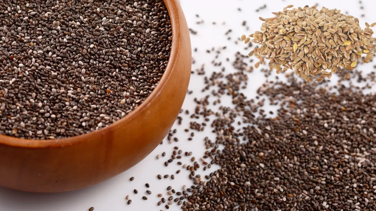 Top 5 Florida Seed Companies for Thriving Gardens in 2025 1 Top 5 Florida Seed Companies for Thriving Gardens in 2025