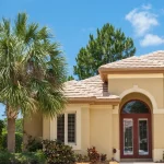 What to Plant in Florida in November