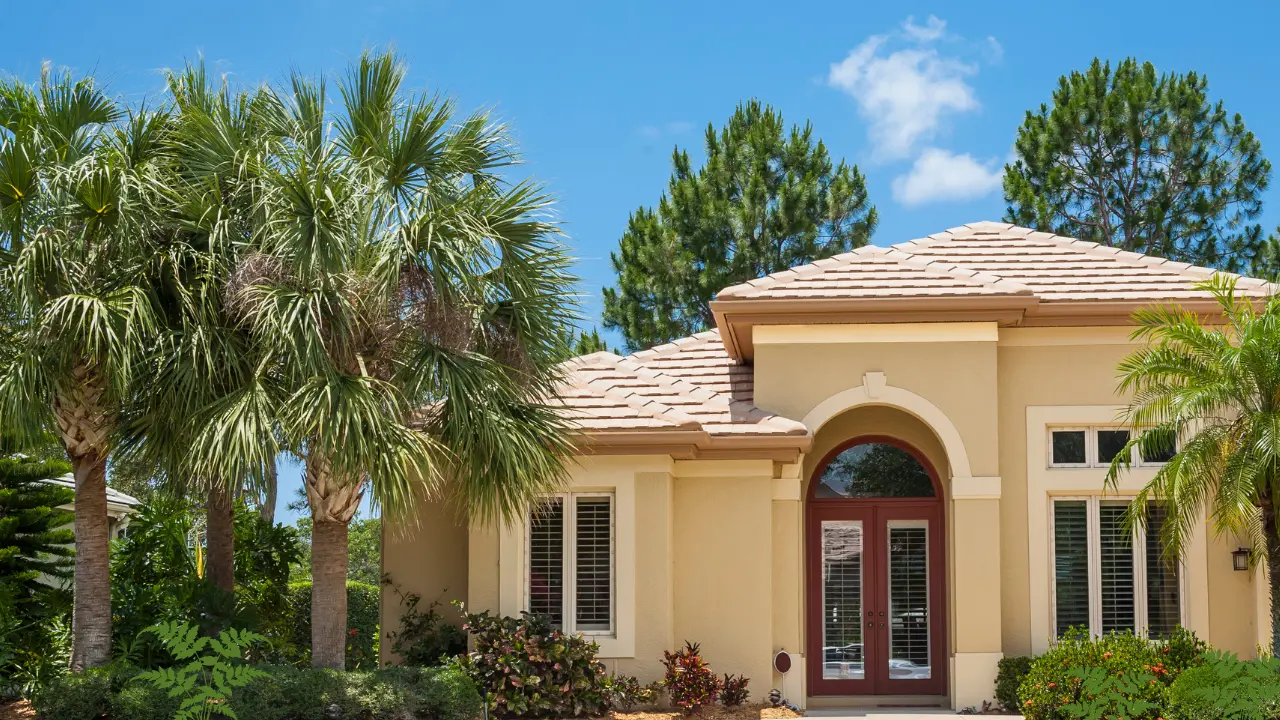 What to Plant in Florida in November