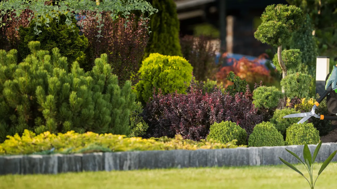 The Ultimate Guide to the Best Low-Maintenance Plants for Florida Gardens in 2025