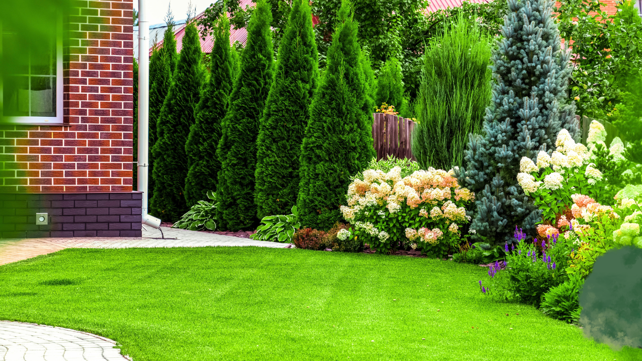 Best Trees to Plant in Front Yard in Florida: Top Picks 8 Trees to Plant in Front Yard
