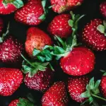 What Is the Best Month for Strawberries in Florida?
