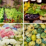 North Florida Vegetable Gardening month by month pdf