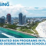 best absn programs in florida