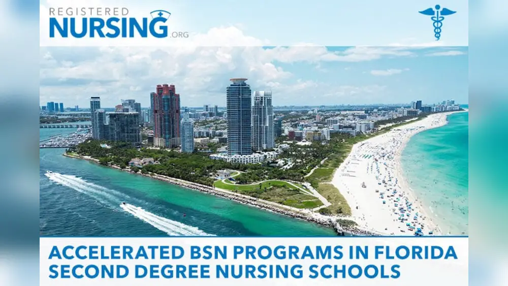 best absn programs in florida