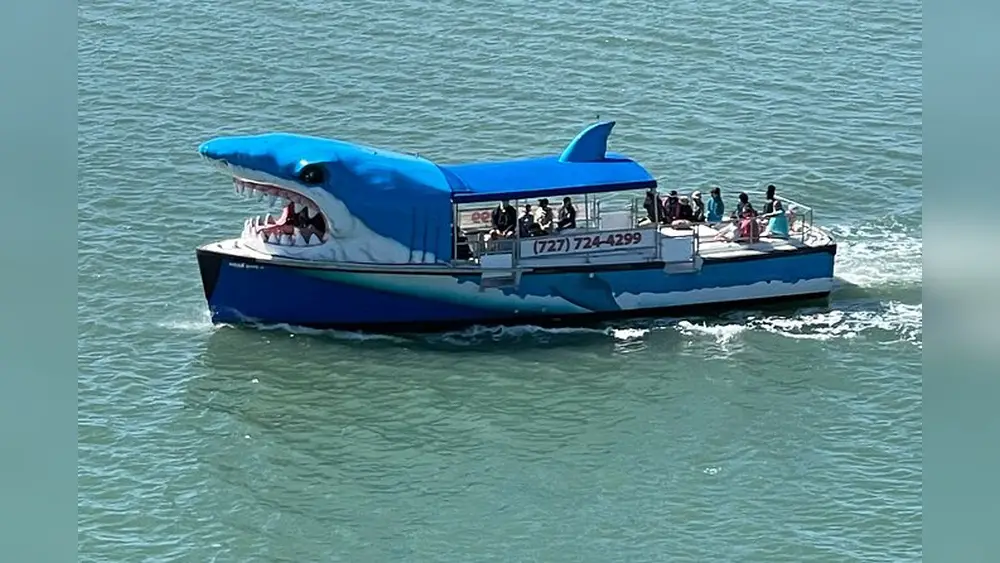 best boat tours in palm beach gardens for dolphins