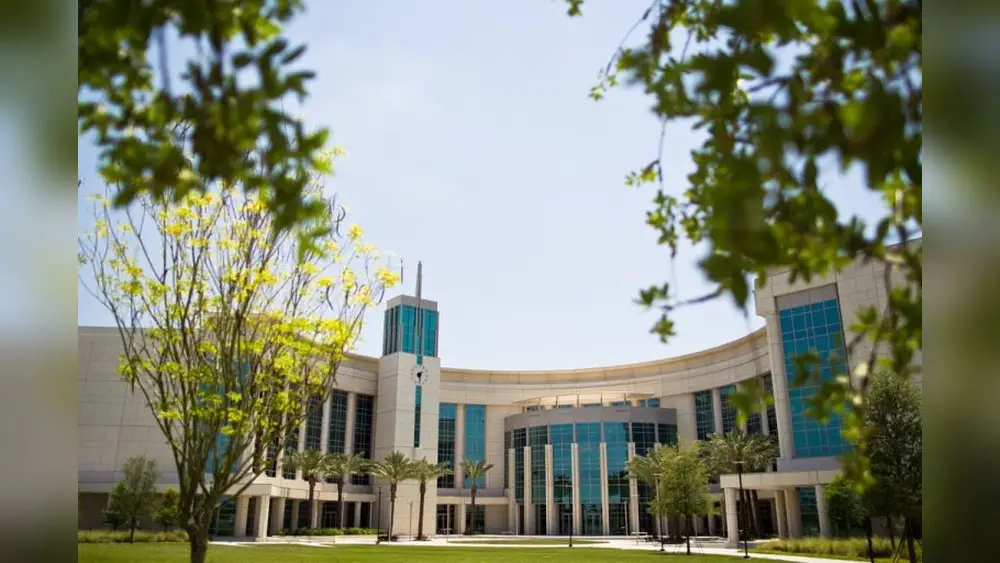 Best Colleges for Psychiatry in Florida: Top-Rated Programs Revealed 1 best colleges for psychiatry in florida