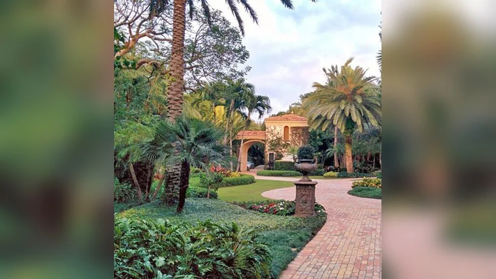 best florida ground cover plants