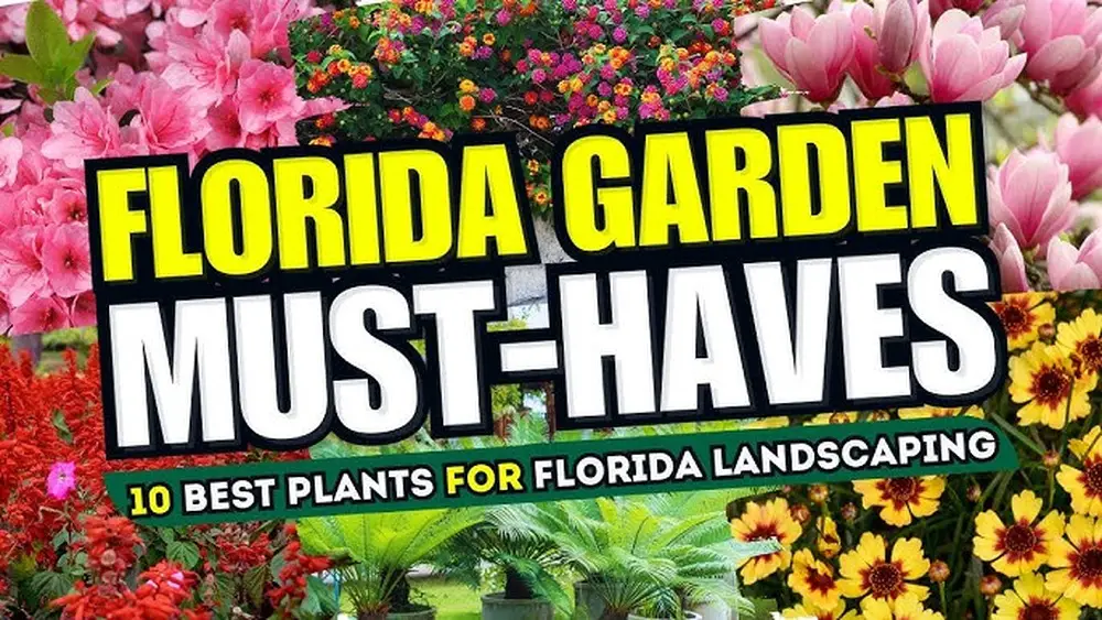 Best Garden Plants for Florida: Top Picks for a Vibrant Yard 1 best garden plants for florida