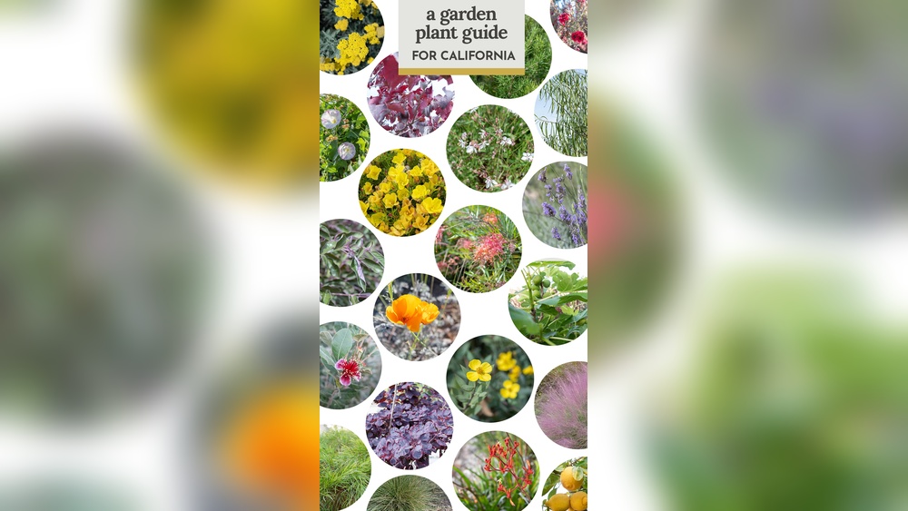 best landscaping plants for california