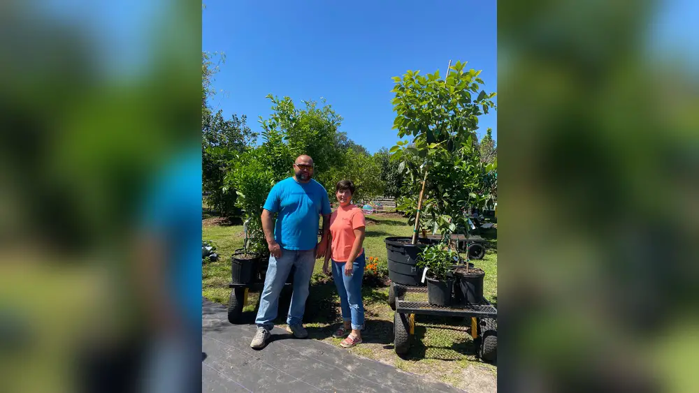 best month to plant trees in florida