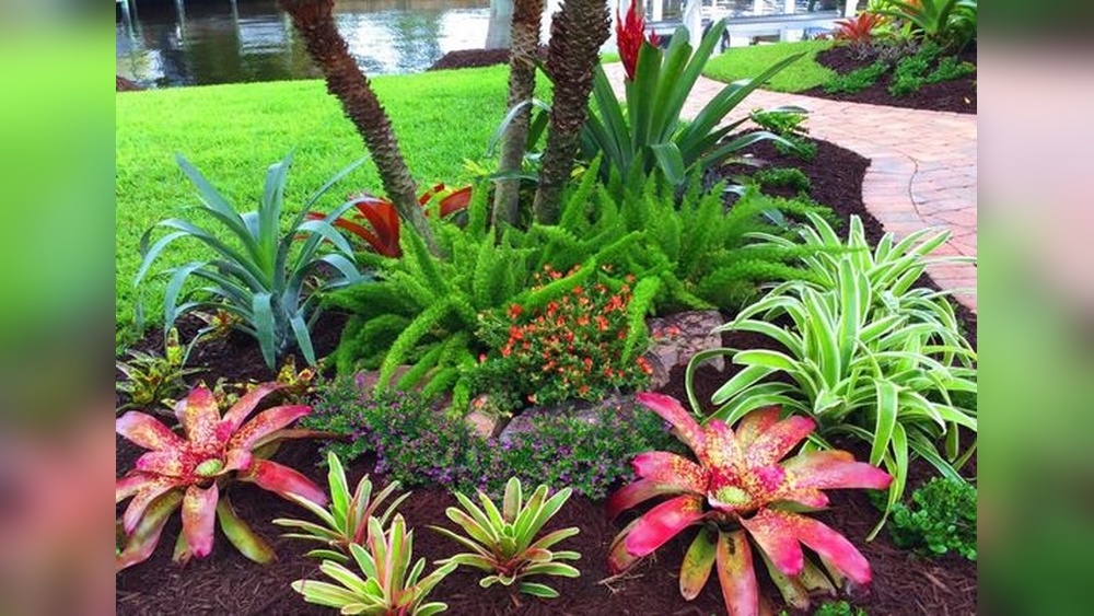 Best Outdoor Plants in Florida: Top Picks for Lush Gardens