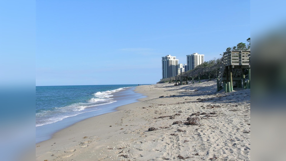 best places to take art classes in palm beach gardens