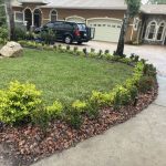 best plant nurseries in central florida