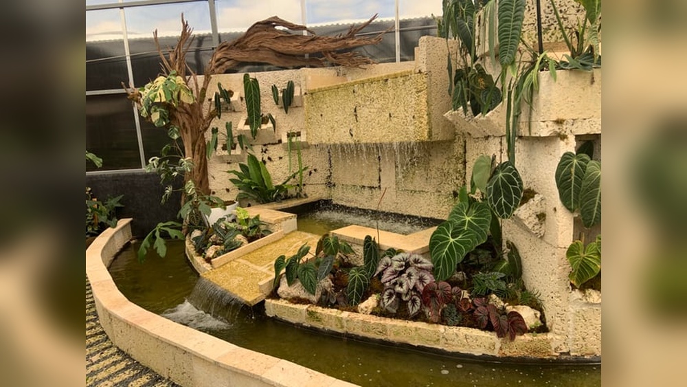 Best Plant Nurseries in South Florida: Top Picks for Green Thumbs