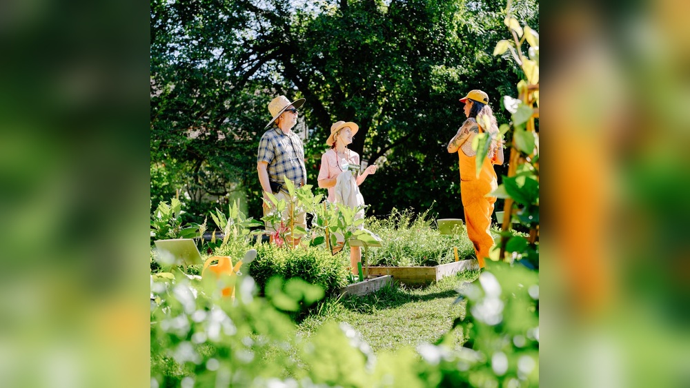 Best Plant Nursery in Homestead Florida: Top Picks for Garden Lovers