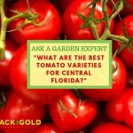 best plant variety for florida