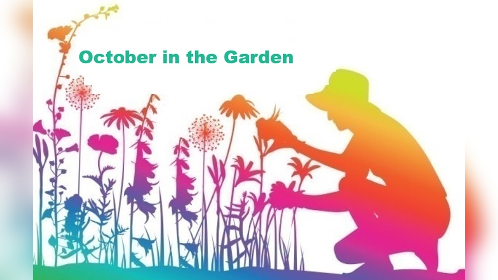 Best Planting Dates for Orlando Florida: Ultimate Guide for Gardeners