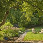 best plants florida small trees that block out sound