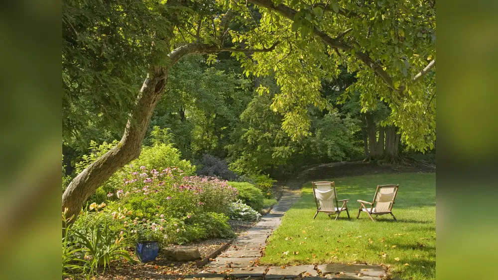 best plants florida small trees that block out sound