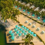 best plants for florida keys
