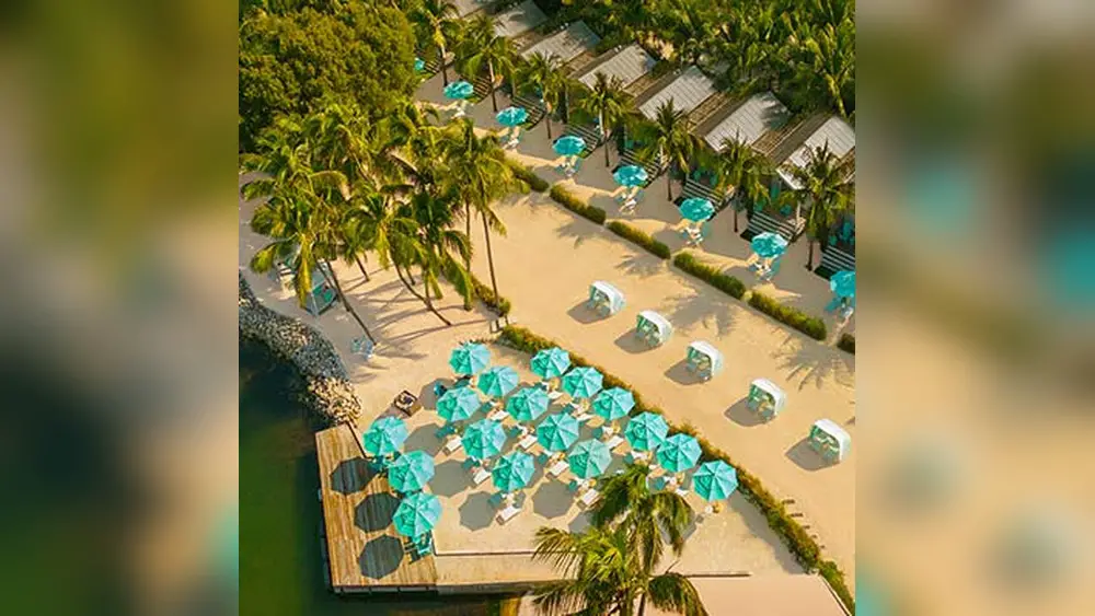 Best Plants for Florida Keys: Top Picks for Vibrant Gardens 1 best plants for florida keys