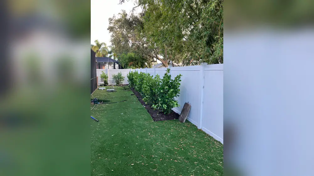best plants for florida landscaping low maintenance