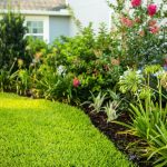 best plants for front yard central florida