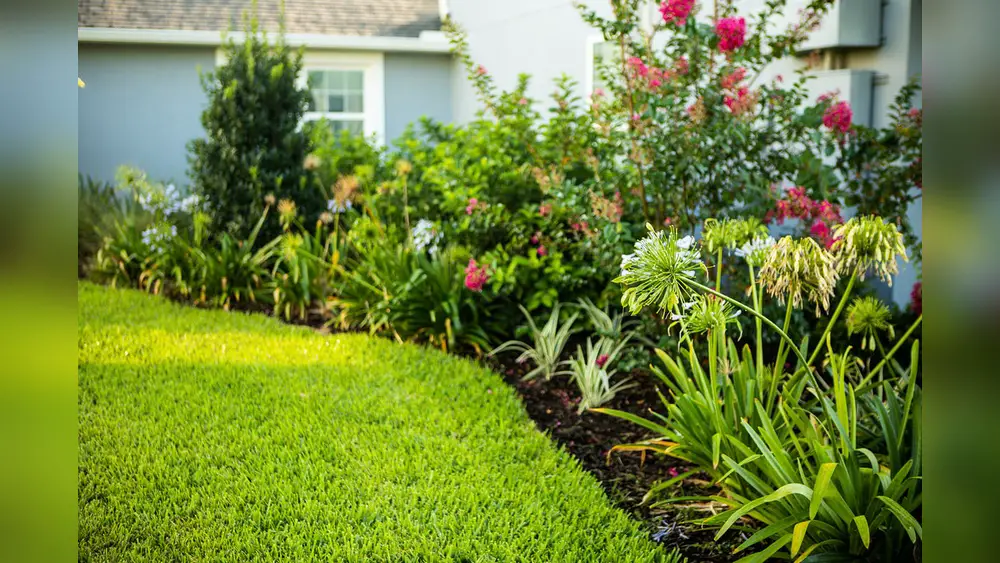 best plants for front yard central florida