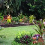 best plants for march in florida