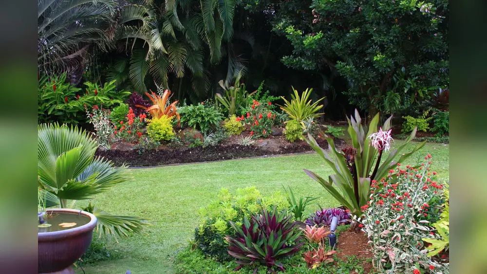 best plants for march in florida