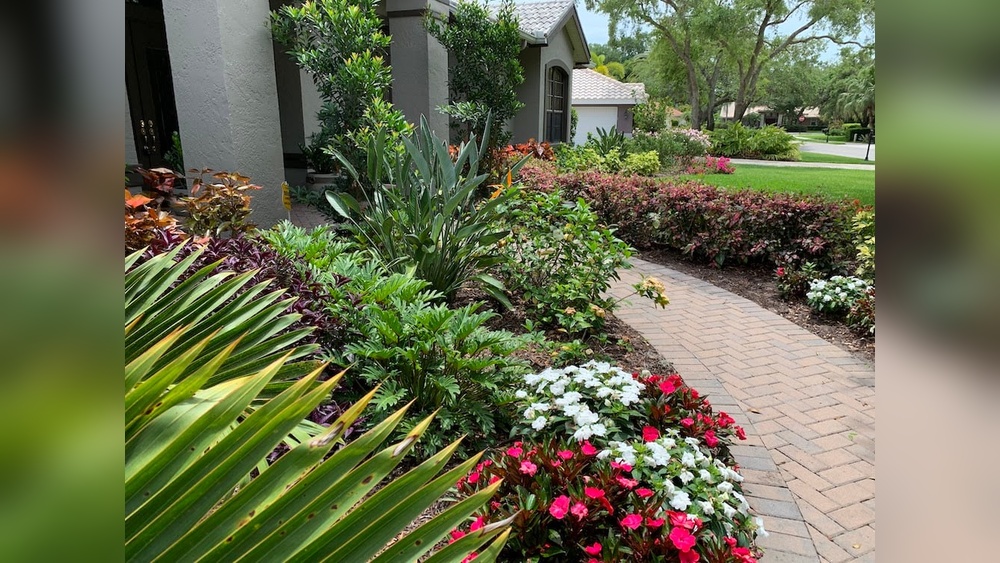 Best Plants for Sarasota Florida: Top Picks for Lush Gardens