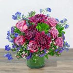 best plants ormond beach florida