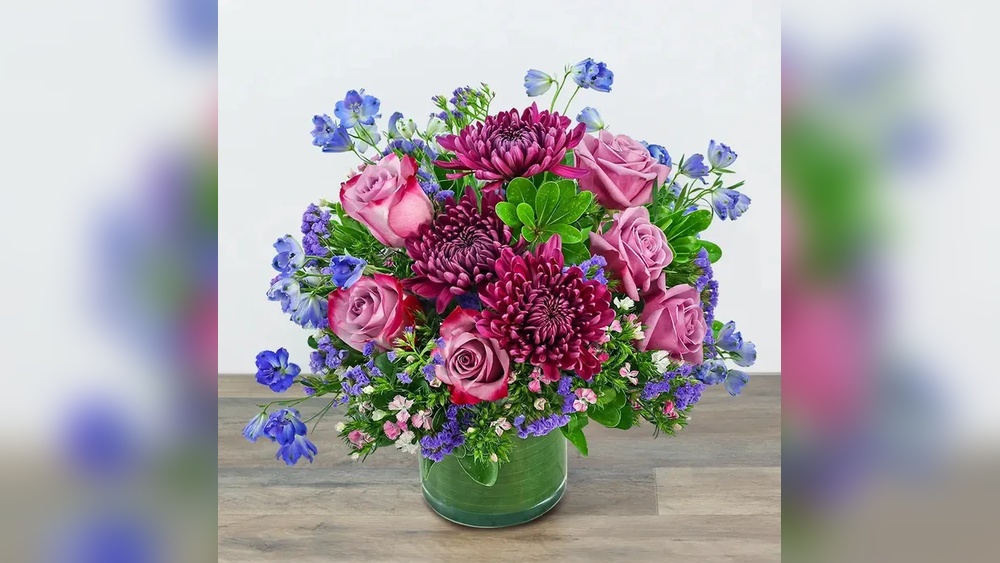 best plants ormond beach florida