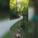 best route from plant city florida to graham nc