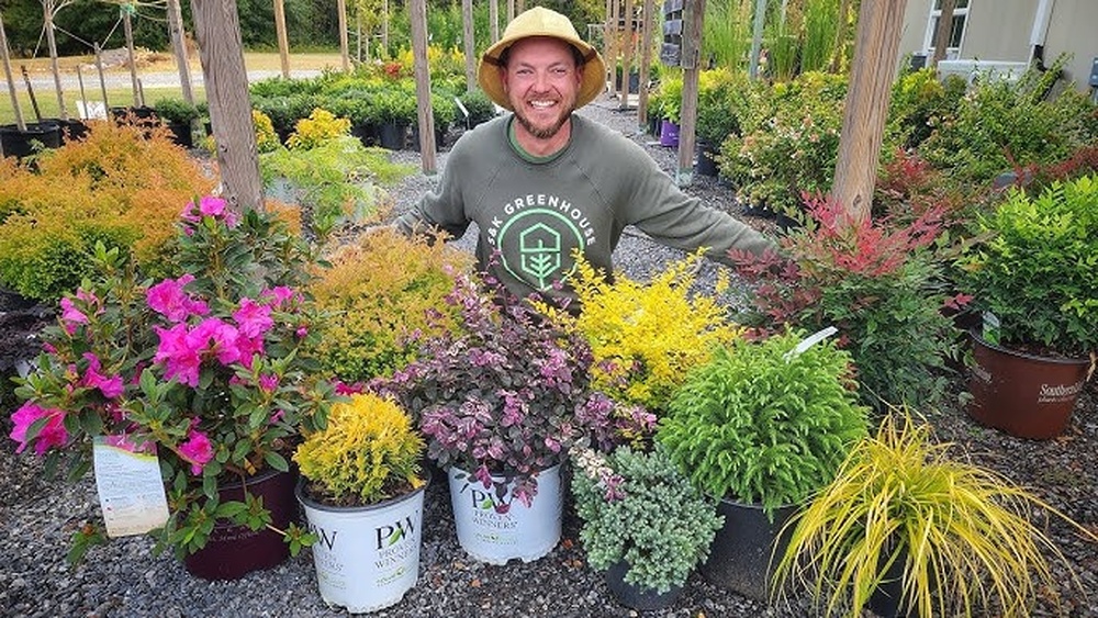 best shrubs to plant in front of house in florida