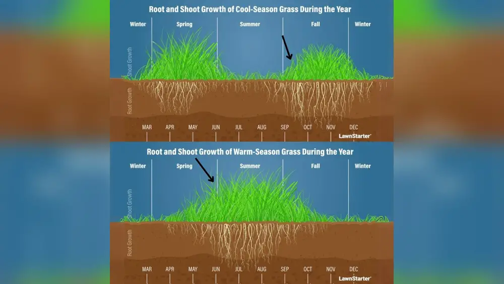 best time of year to plant grass seed in florida