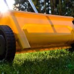 best time to fertilize plants in florida