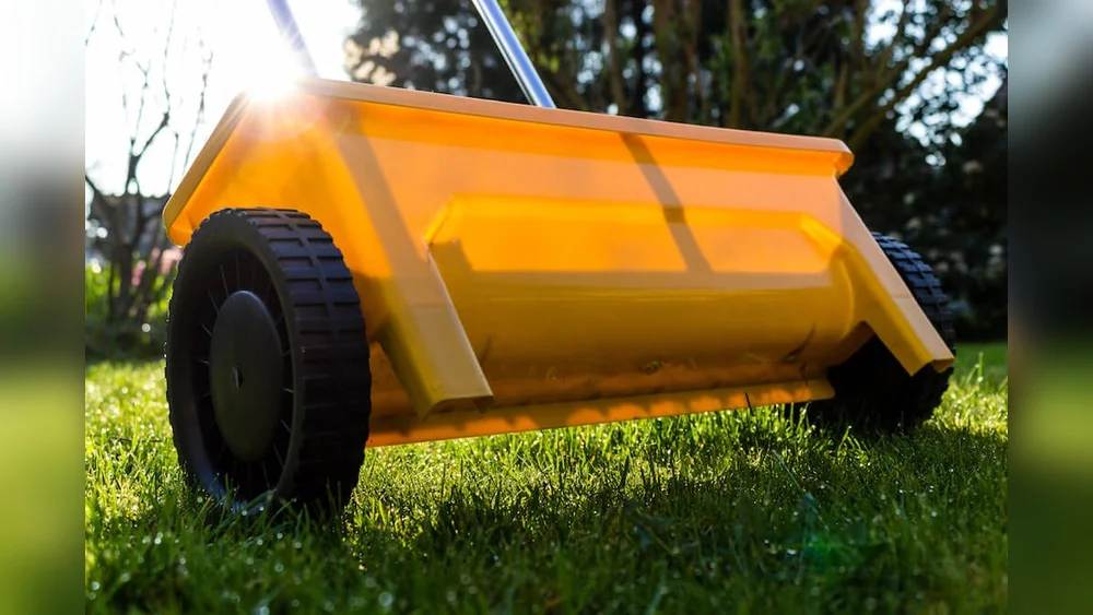 Best Time to Fertilize Plants in Florida: Maximize Growth Now 1 best time to fertilize plants in florida