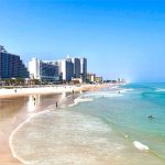 best time to plant bushes in daytona beach florida